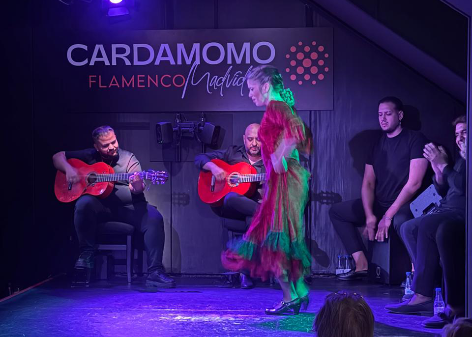 Flamenco Performance